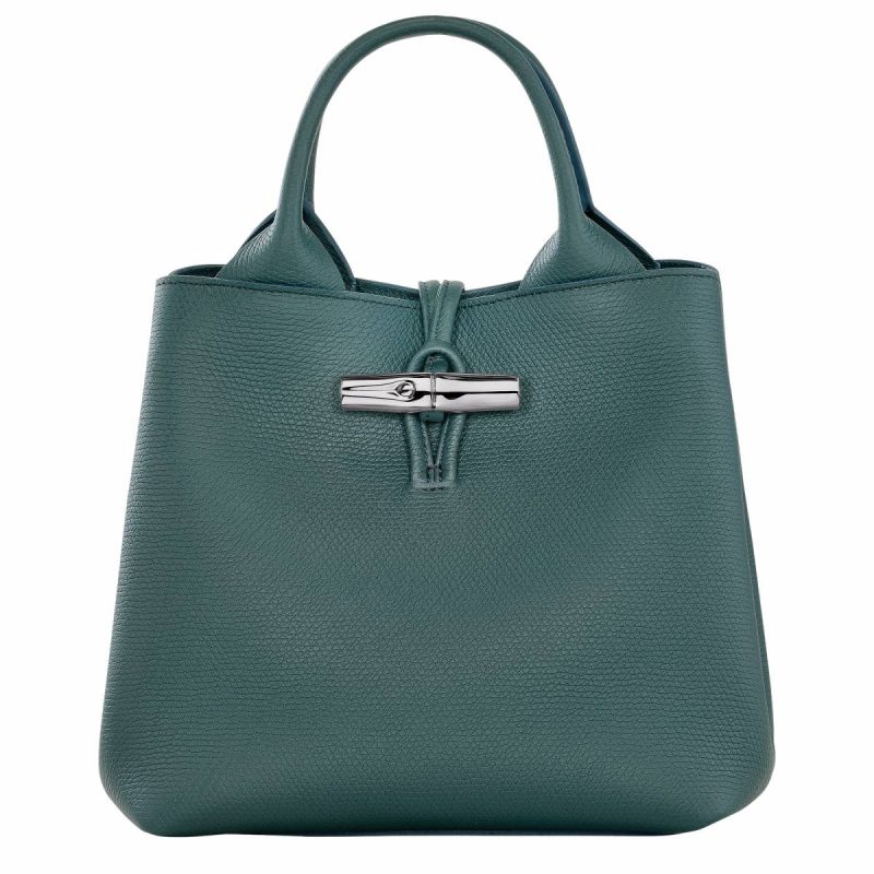 Women Le Roseau S Handbag Cedar - Leather Cedar Leather Bags Longchamp
